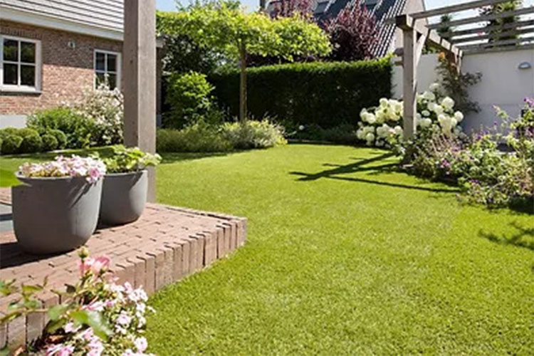 artificialgrass